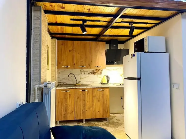 1-комнатная 28 м² в Чугурети, аренда 390$ — фото 7