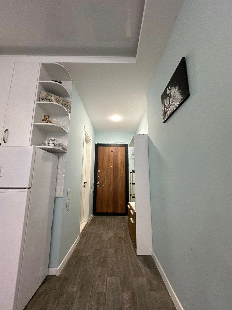 Аренда 1-спальной квартиры 55 м², Пиросмани