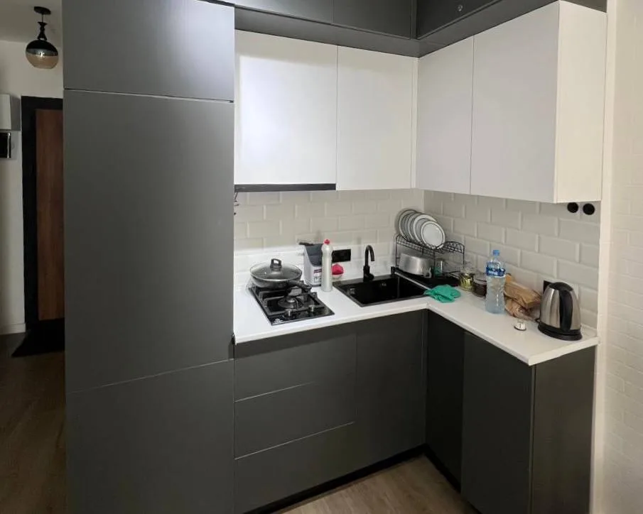 Аренда 1-спальной квартиры, 50 м², Пиросмани 17